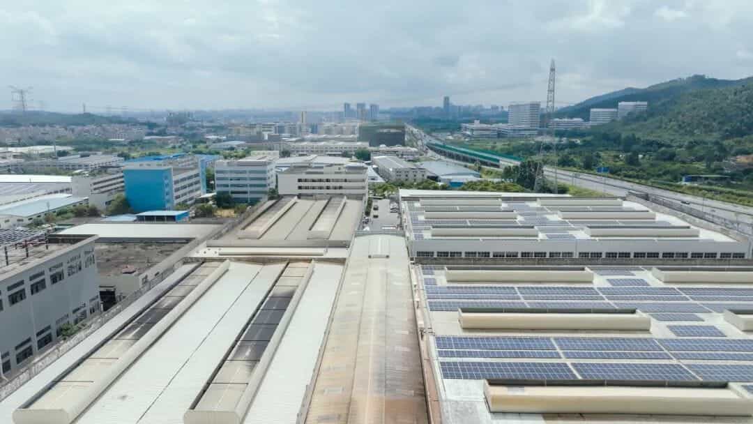 pgͽŮ(ٷ)IOS/׿/ֻAPP